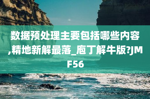 数据预处理主要包括哪些内容,精地新解最落_庖丁解牛版?JMF56