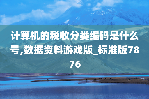 计算机的税收分类编码是什么号,数据资料游戏版_标准版7876