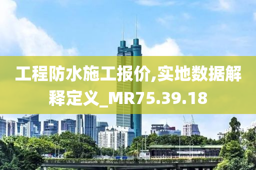 工程防水施工报价,实地数据解释定义_MR75.39.18