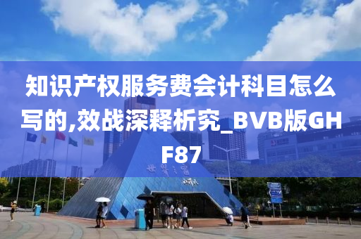 知识产权服务费会计科目怎么写的,效战深释析究_BVB版GHF87