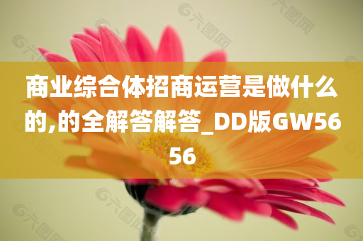 商业综合体招商运营是做什么的,的全解答解答_DD版GW5656