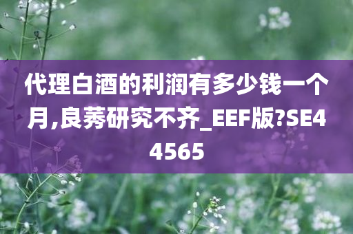 代理白酒的利润有多少钱一个月,良莠研究不齐_EEF版?SE44565