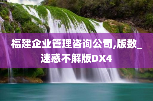 福建企业管理咨询公司,版数_迷惑不解版DX4