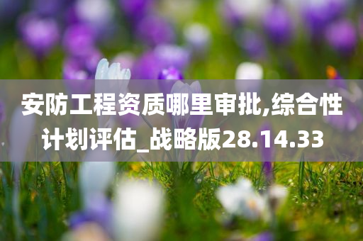 安防工程资质哪里审批,综合性计划评估_战略版28.14.33