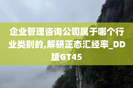 企业管理咨询公司属于哪个行业类别的,解研正态汇经率_DD版GT45