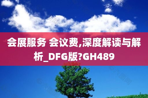 会展服务 会议费,深度解读与解析_DFG版?GH489