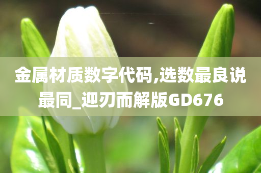 金属材质数字代码,选数最良说最同_迎刃而解版GD676