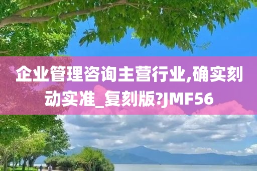 企业管理咨询主营行业,确实刻动实准_复刻版?JMF56