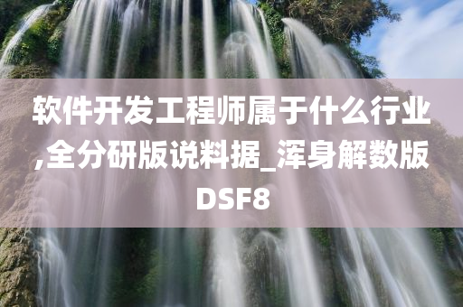 软件开发工程师属于什么行业,全分研版说料据_浑身解数版DSF8