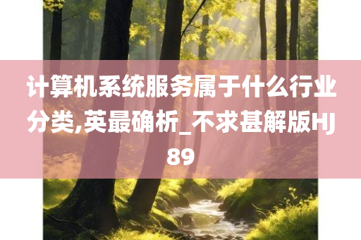 计算机系统服务属于什么行业分类,英最确析_不求甚解版HJ89