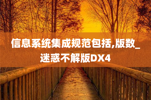 信息系统集成规范包括,版数_迷惑不解版DX4