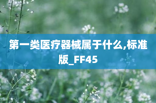 第一类医疗器械属于什么,标准版_FF45