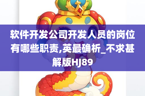 软件开发公司开发人员的岗位有哪些职责,英最确析_不求甚解版HJ89