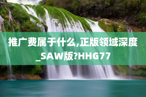 推广费属于什么,正版领域深度_SAW版?HHG77