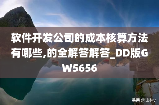 软件开发公司的成本核算方法有哪些,的全解答解答_DD版GW5656