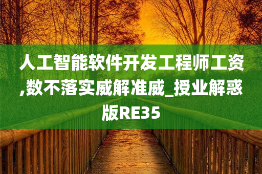 人工智能软件开发工程师工资,数不落实威解准威_授业解惑版RE35