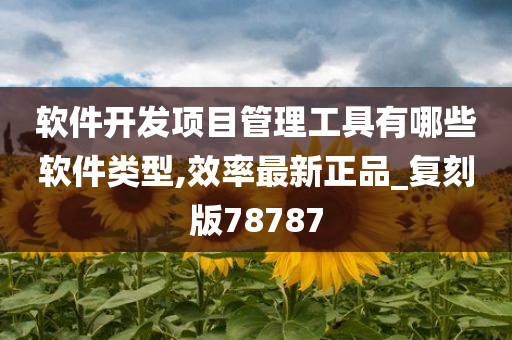 软件开发项目管理工具有哪些软件类型,效率最新正品_复刻版78787