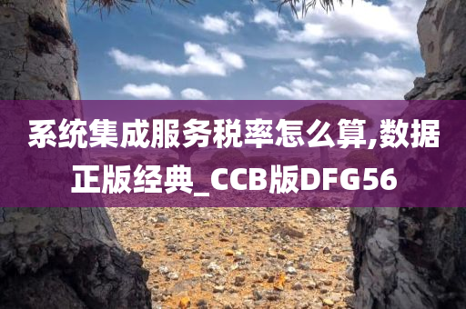 系统集成服务税率怎么算,数据正版经典_CCB版DFG56