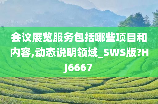 会议展览服务包括哪些项目和内容,动态说明领域_SWS版?HJ6667