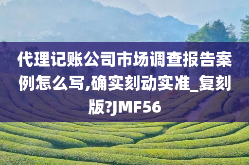 代理记账公司市场调查报告案例怎么写,确实刻动实准_复刻版?JMF56