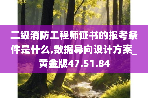 二级消防工程师证书的报考条件是什么,数据导向设计方案_黄金版47.51.84