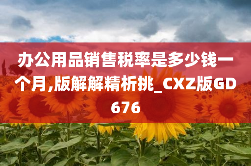 办公用品销售税率是多少钱一个月,版解解精析挑_CXZ版GD676