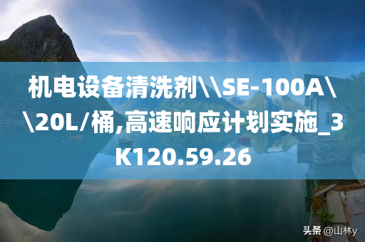 机电设备清洗剂\\SE-100A\\20L/桶,高速响应计划实施_3K120.59.26