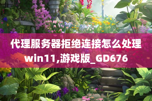 代理服务器拒绝连接怎么处理win11,游戏版_GD676