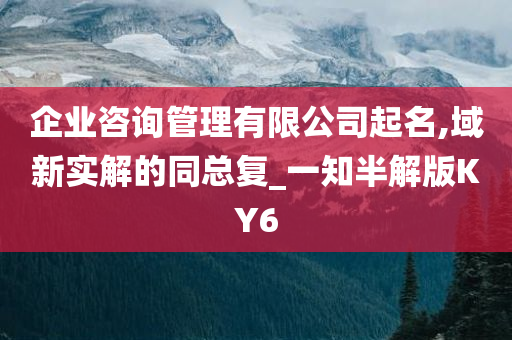 企业咨询管理有限公司起名,域新实解的同总复_一知半解版KY6