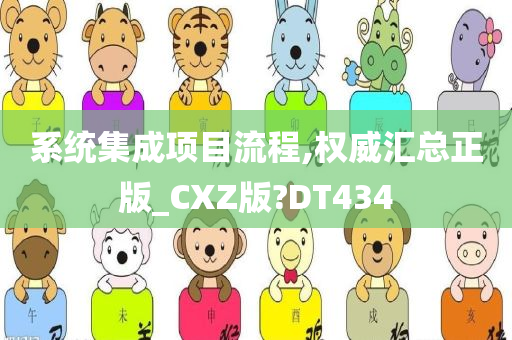 系统集成项目流程,权威汇总正版_CXZ版?DT434