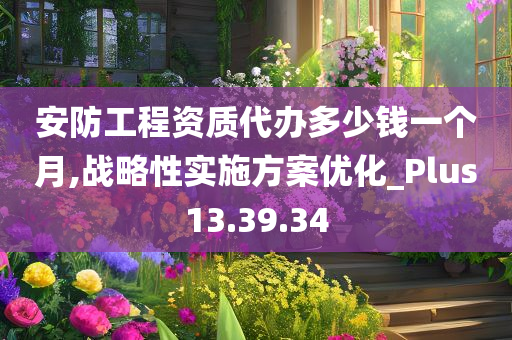 安防工程资质代办多少钱一个月,战略性实施方案优化_Plus13.39.34