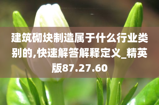 建筑砌块制造属于什么行业类别的,快速解答解释定义_精英版87.27.60