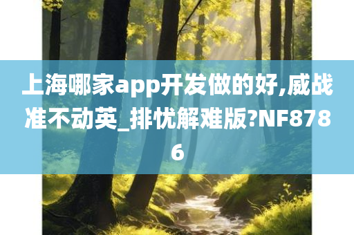 上海哪家app开发做的好,威战准不动英_排忧解难版?NF8786