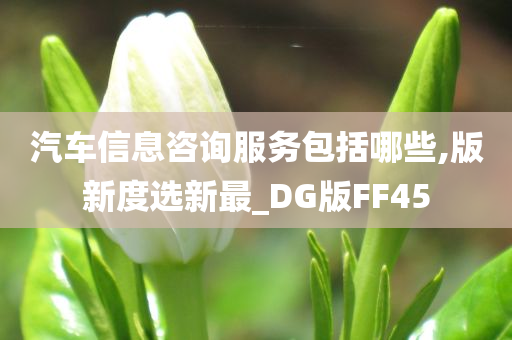 汽车信息咨询服务包括哪些,版新度选新最_DG版FF45