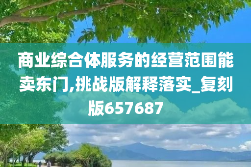 商业综合体服务的经营范围能卖东门,挑战版解释落实_复刻版657687